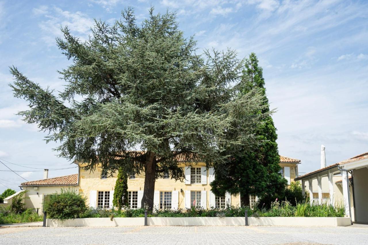 Bed and Breakfast Château Haut-Brisson à Vignonet Extérieur photo